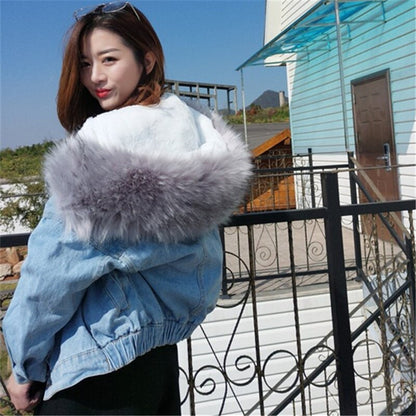 Veste à capuche – Style manteau